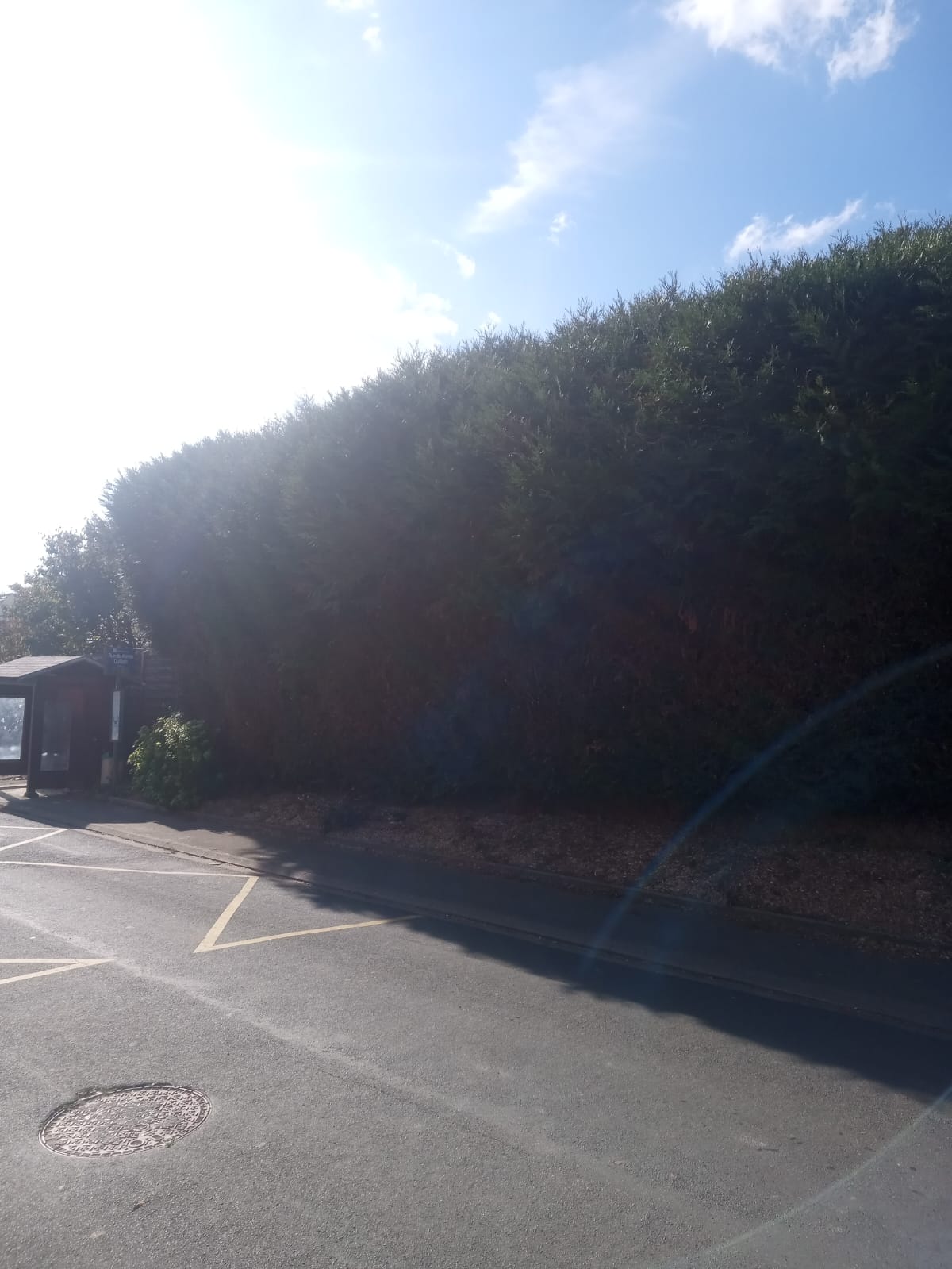 Location taille haie 60 entre particuliers